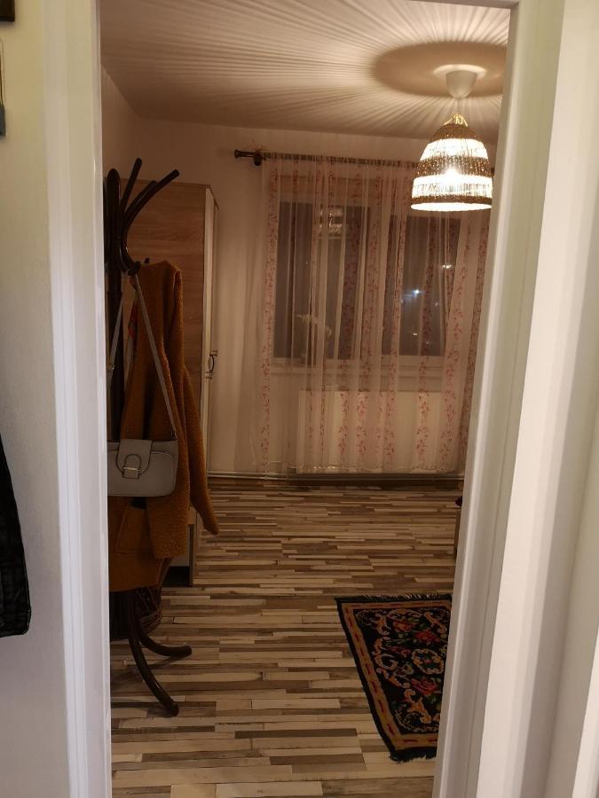 Little Modern Folk Apt Leilighet Vălenii de Munte Eksteriør bilde