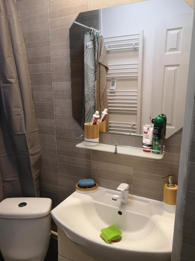 Little Modern Folk Apt Leilighet Vălenii de Munte Eksteriør bilde