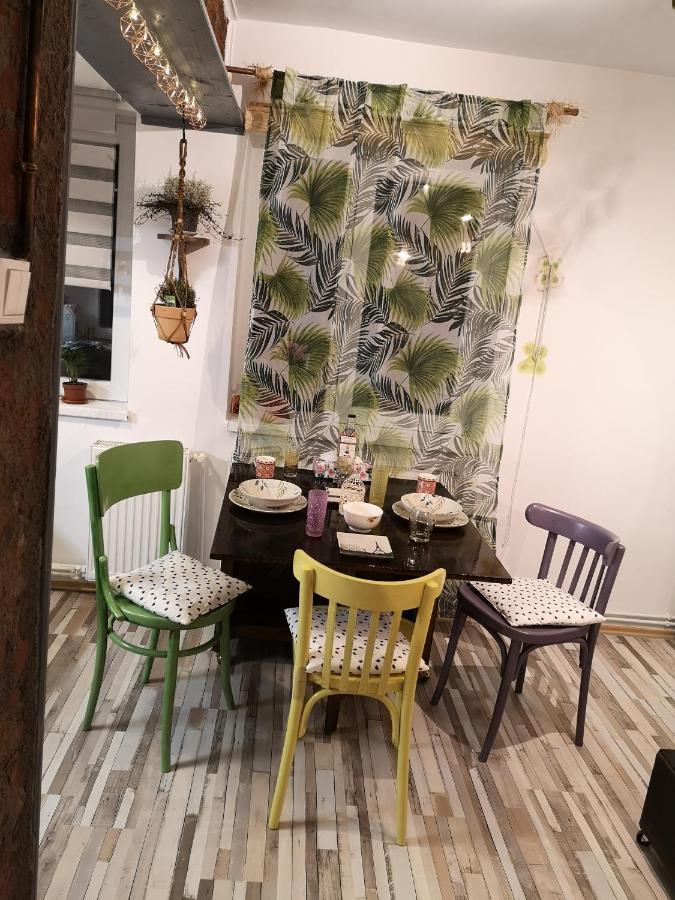 Little Modern Folk Apt Leilighet Vălenii de Munte Eksteriør bilde